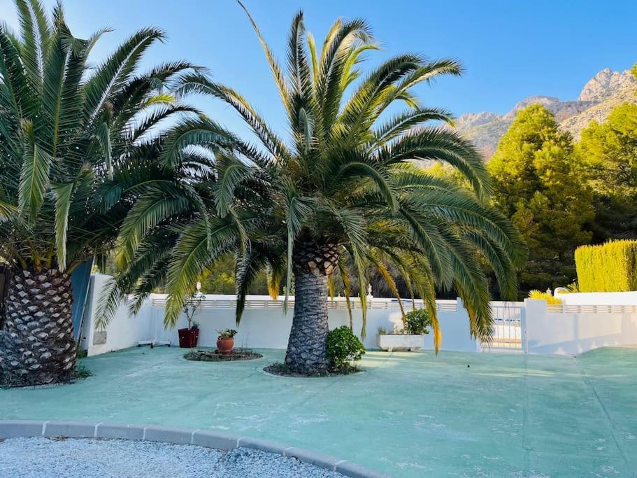 אליקאנטה Peace And Nature Altea La Vella מראה חיצוני תמונה